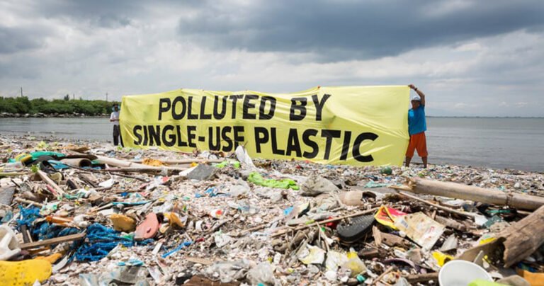 LAGOS State BANS Single-Use PLASTIC Fears of Irreversible Environmental DAMAGE