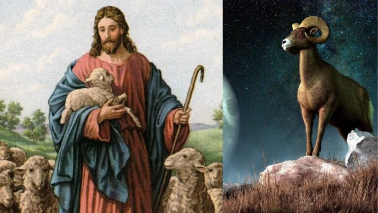 INTERESTING SIMILARITIES BETWEEN THE AMADIOHA DEITY & JESUS CHRIST