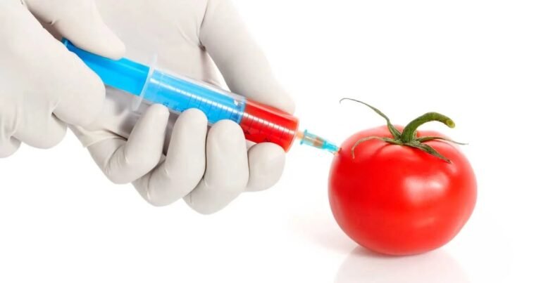 Africa Doesn’t Need GMOs — We Need Our Land, Our Health, and Our Farmers Back